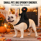 Free Shipping 🎃 Grim Reaper Rider Costume for Dogs & Cats