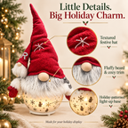 Free Shipping 🎄 Light-Up Christmas Gnome & Snowman Decor + Free R Mini Gnome