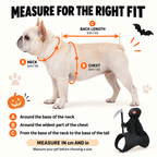 Free Shipping 🎃 Grim Reaper Rider Costume for Dogs & Cats