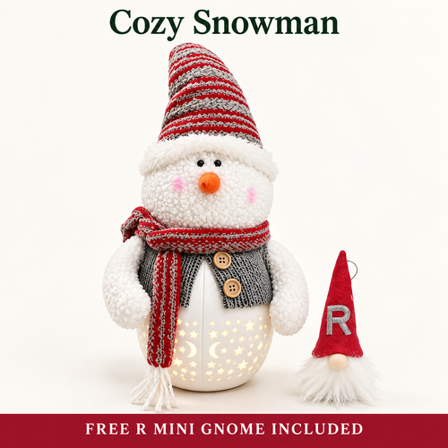 Free Shipping 🎄 Light-Up Christmas Gnome & Snowman Decor + Free R Mini Gnome
