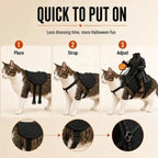 Free Shipping | 🎃 Headless Horseman Rider Pet Costume for Cats & Small Dogs