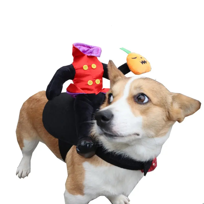 Free Shipping | 🎃 Halloween Vampire Rider Dog Costume – Funny Carry-Me Pet Outfit