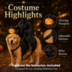Free Shipping | 🎃 Headless Horseman Rider Pet Costume for Cats & Small Dogs