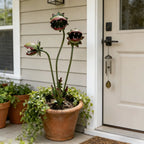 Whimsical Metal Venus Flytrap Garden Stake – Handcrafted Outdoor Carnivorous Plant Decor – Unique Gardening Gift