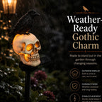 🐦‍⬛Animated Raven Skull Solar Garden Stake💀 | Halloween Outdoor Yard Decor